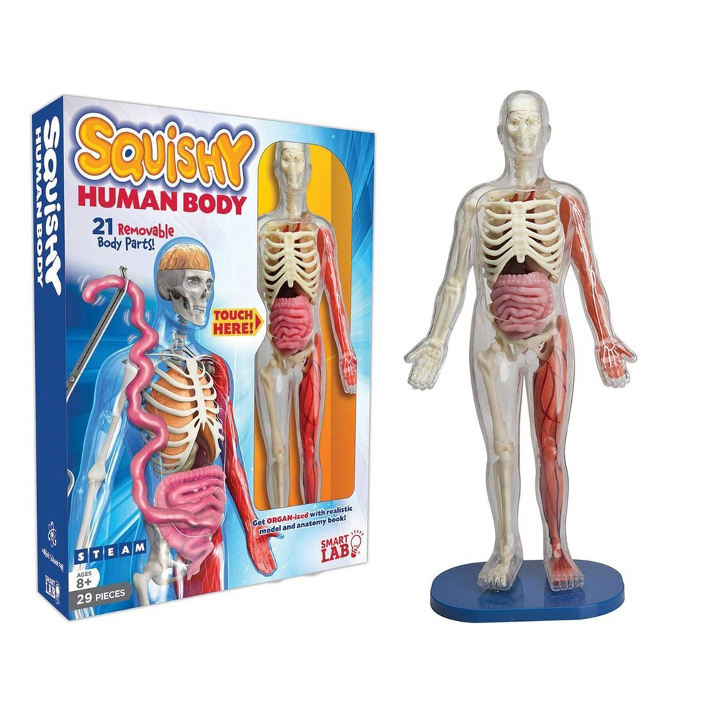 Squishy Human Body Kit by Smart Lab